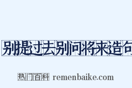别提过去别问将来造句是什么意思的图片